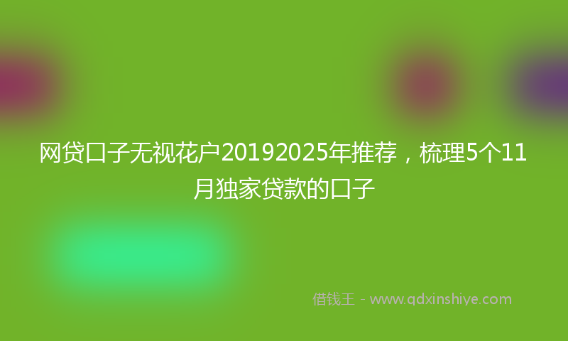 网贷口子无视花户20192025年推荐，梳理5个11月独家贷款的口子