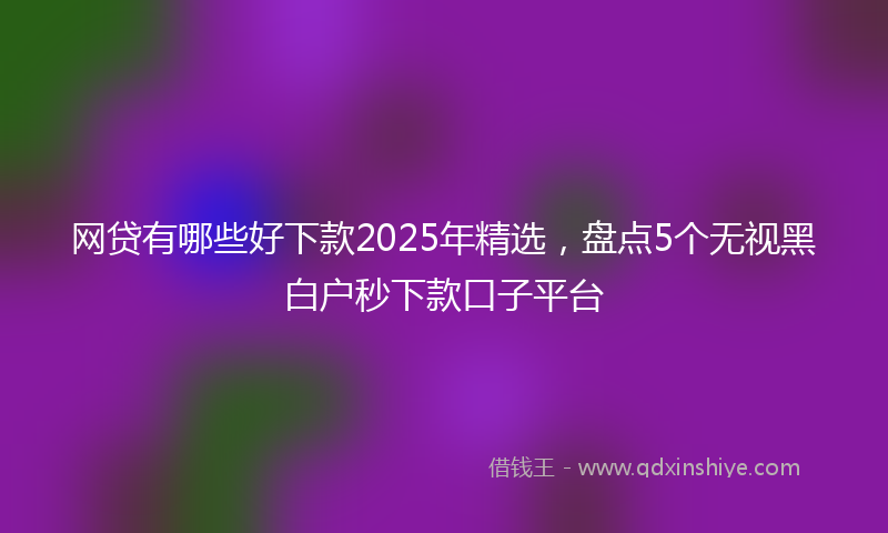 网贷有哪些好下款2025年精选，盘点5个无视黑白户秒下款口子平台