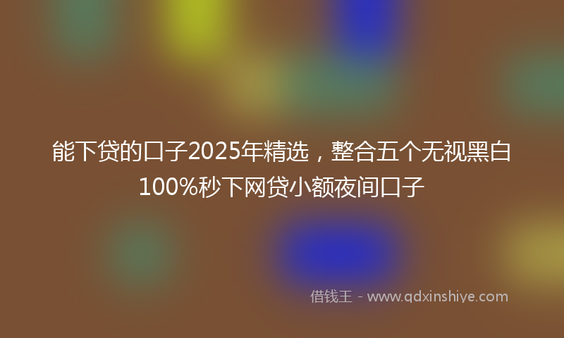 能下贷的口子2025年精选，整合五个无视黑白100%秒下网贷小额夜间口子