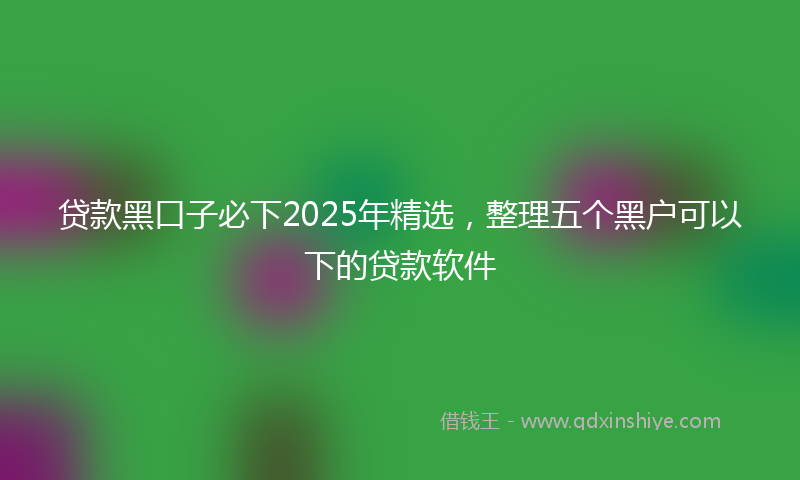 贷款黑口子必下2025年精选，整理五个黑户可以下的贷款软件