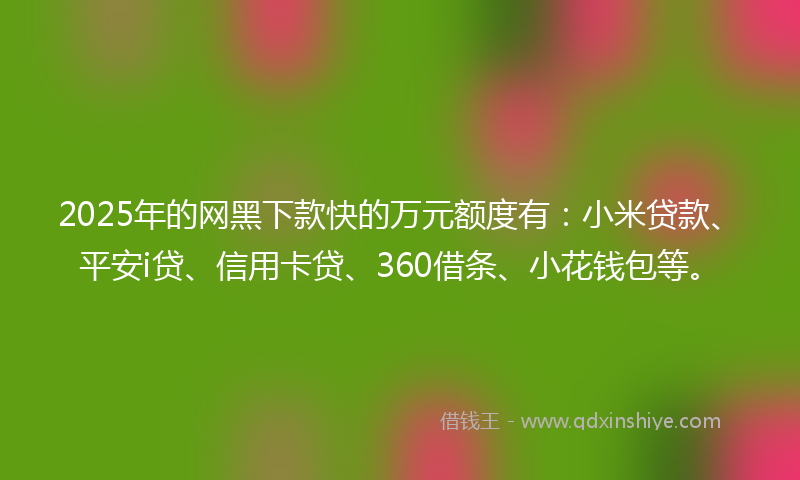 2025年的网黑下款快的万元额度有：小米贷款、平安i贷、信用卡贷、360借条、小花钱包等。