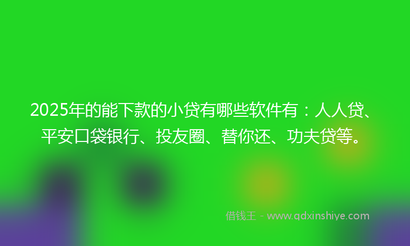 2025年的能下款的小贷有哪些软件有：人人贷、平安口袋银行、投友圈、替你还、功夫贷等。