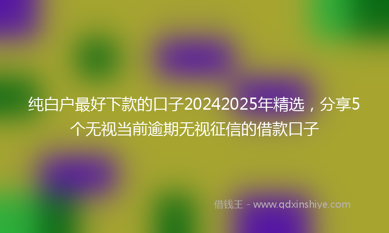纯白户最好下款的口子20242025年精选，分享5个无视当前逾期无视征信的借款口子