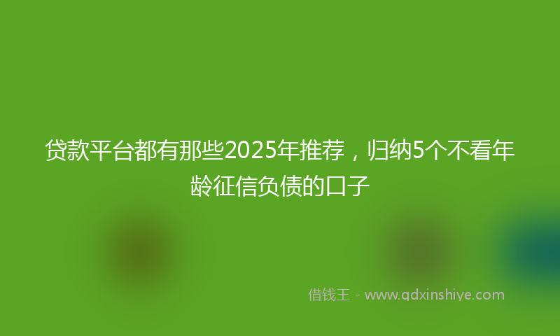 贷款平台都有那些2025年推荐，归纳5个不看年龄征信负债的口子