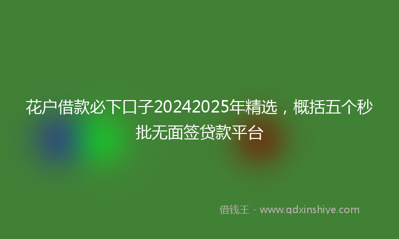 花户借款必下口子20242025年精选，概括五个秒批无面签贷款平台