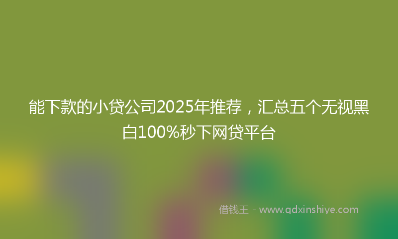 能下款的小贷公司2025年推荐，汇总五个无视黑白100%秒下网贷平台