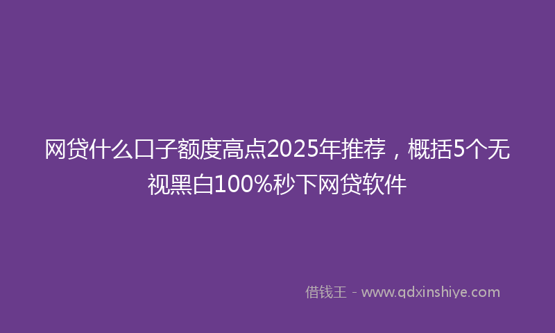 网贷什么口子额度高点2025年推荐，概括5个无视黑白100%秒下网贷软件