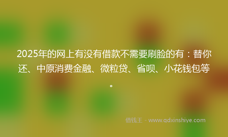 2025年的网上有没有借款不需要刷脸的有：替你还、中原消费金融、微粒贷、省呗、小花钱包等。