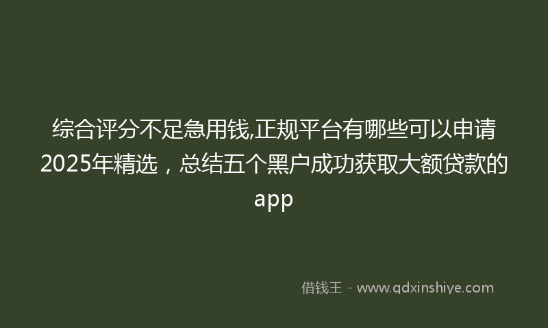 综合评分不足急用钱,正规平台有哪些可以申请2025年精选，总结五个黑户成功获取大额贷款的app