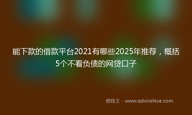 能下款的借款平台2021有哪些2025年推荐，概括5个不看负债的网贷口子