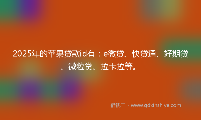 2025年的苹果贷款id有：e微贷、快贷通、好期贷、微粒贷、拉卡拉等。