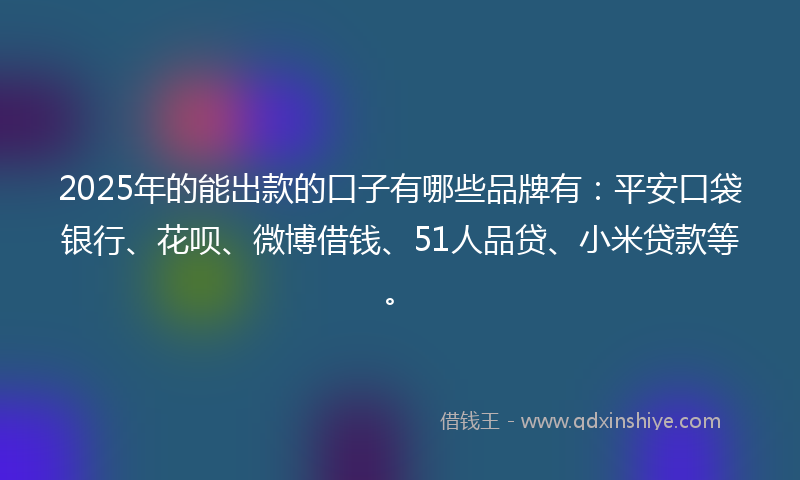 2025年的能出款的口子有哪些品牌有：平安口袋银行、花呗、微博借钱、51人品贷、小米贷款等。