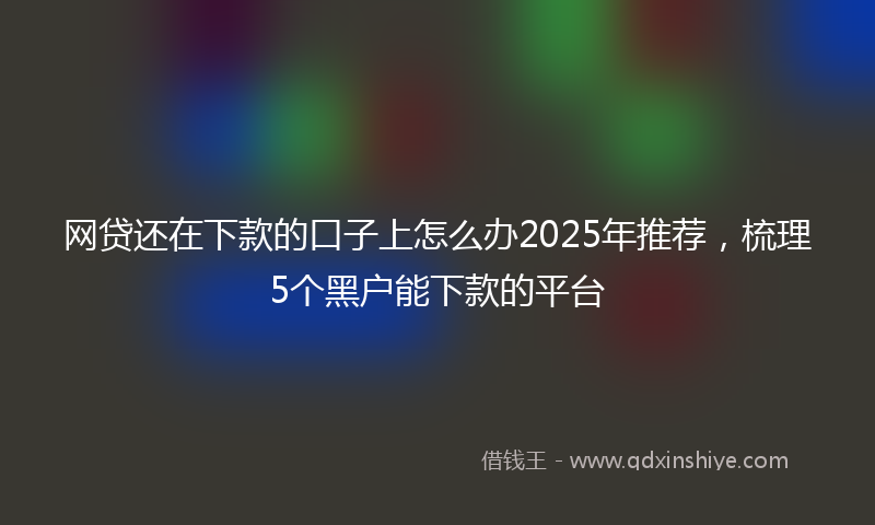 网贷还在下款的口子上怎么办2025年推荐，梳理5个黑户能下款的平台
