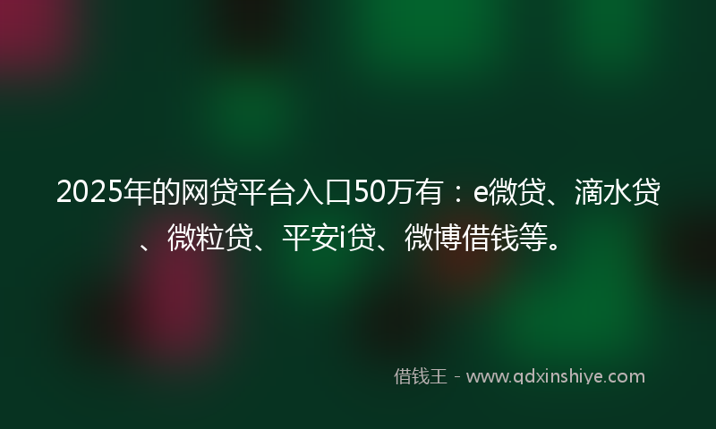 2025年的网贷平台入口50万有：e微贷、滴水贷、微粒贷、平安i贷、微博借钱等。