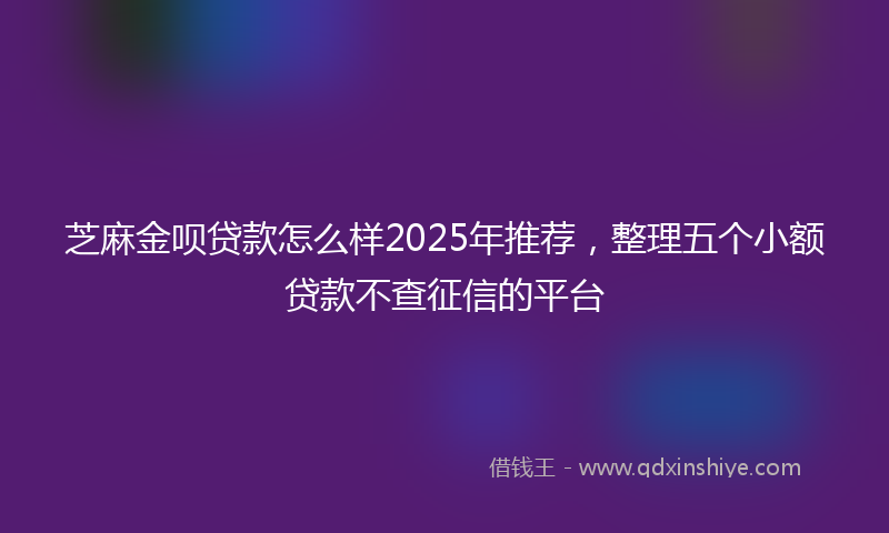 芝麻金呗贷款怎么样2025年推荐，整理五个小额贷款不查征信的平台
