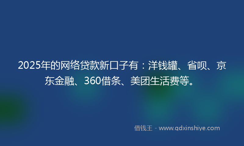 2025年的网络贷款新口子有：洋钱罐、省呗、京东金融、360借条、美团生活费等。