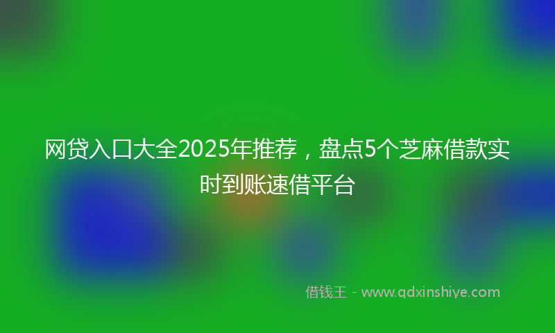 网贷入口大全2025年推荐，盘点5个芝麻借款实时到账速借平台