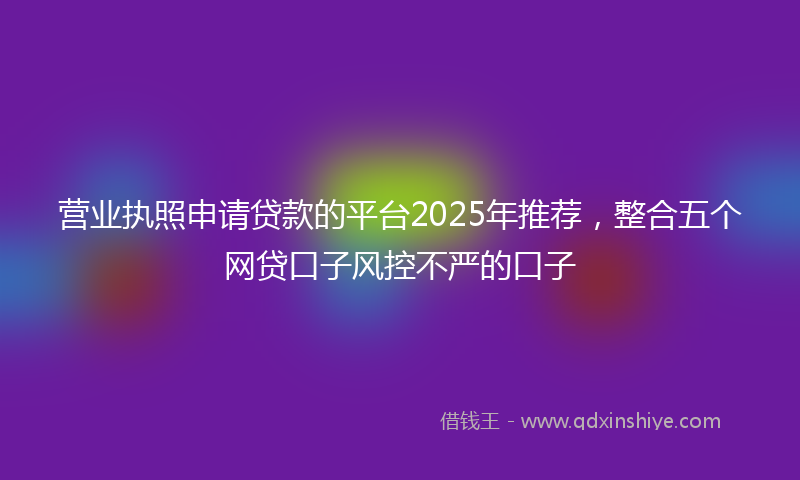 营业执照申请贷款的平台2025年推荐，整合五个网贷口子风控不严的口子