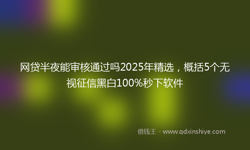 网贷半夜能审核通过吗2025年精选，概括5个无视征信黑白100%秒下软件