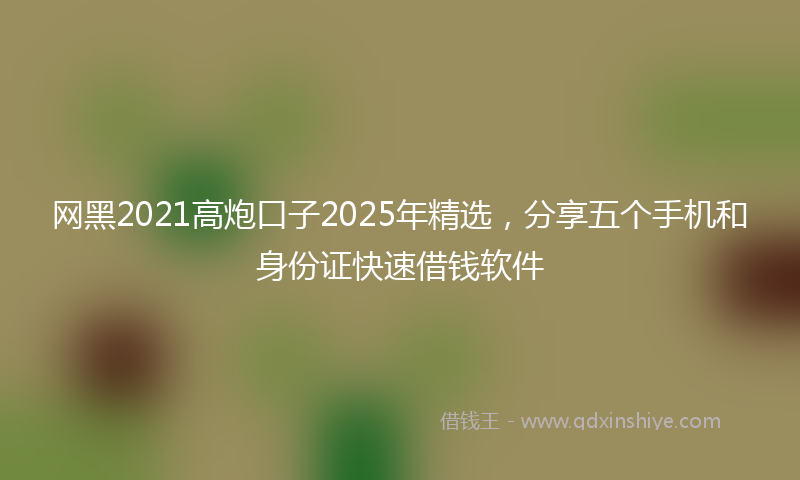 网黑2021高炮口子2025年精选，分享五个手机和身份证快速借钱软件