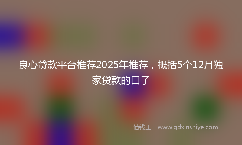 良心贷款平台推荐2025年推荐，概括5个12月独家贷款的口子