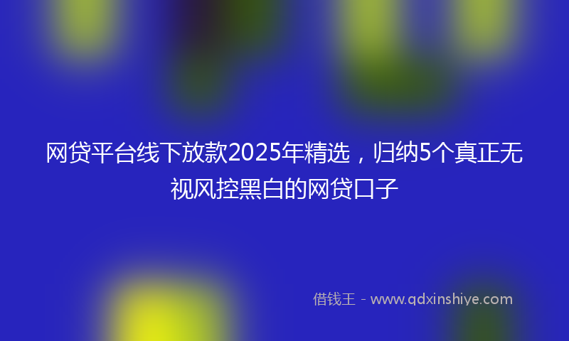 网贷平台线下放款2025年精选，归纳5个真正无视风控黑白的网贷口子
