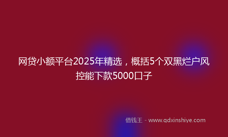 网贷小额平台2025年精选，概括5个双黑烂户风控能下款5000口子