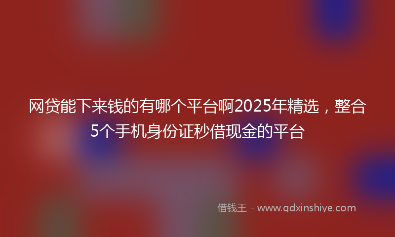 网贷能下来钱的有哪个平台啊2025年精选，整合5个手机身份证秒借现金的平台