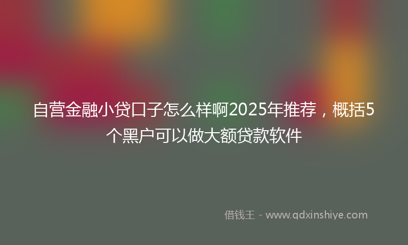 自营金融小贷口子怎么样啊2025年推荐，概括5个黑户可以做大额贷款软件