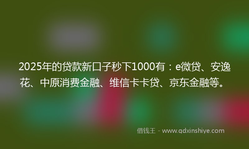 2025年的贷款新口子秒下1000有：e微贷、安逸花、中原消费金融、维信卡卡贷、京东金融等。