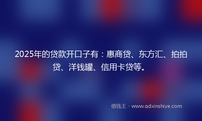 2025年的贷款开口子有：惠商贷、东方汇、拍拍贷、洋钱罐、信用卡贷等。