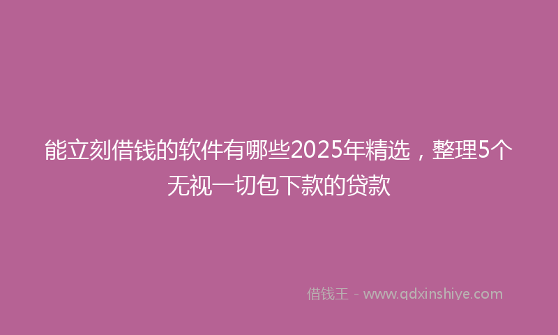 能立刻借钱的软件有哪些2025年精选，整理5个无视一切包下款的贷款