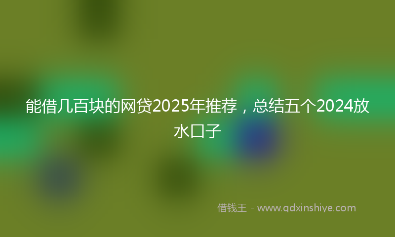 能借几百块的网贷2025年推荐，总结五个2024放水口子