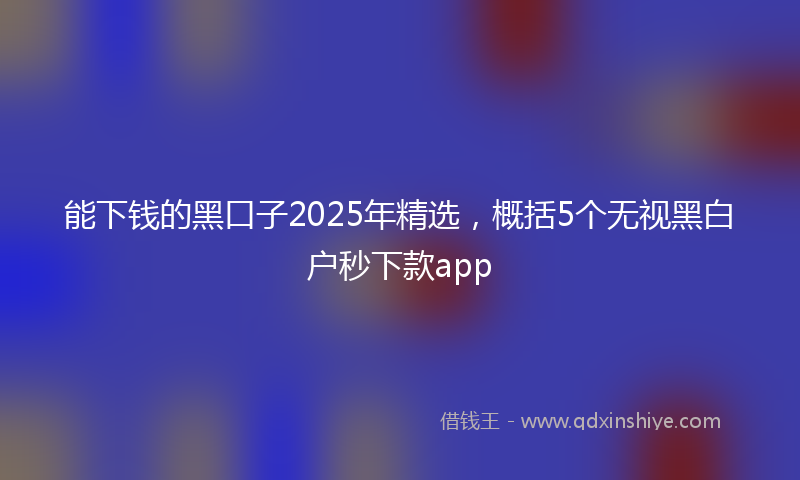 能下钱的黑口子2025年精选，概括5个无视黑白户秒下款app