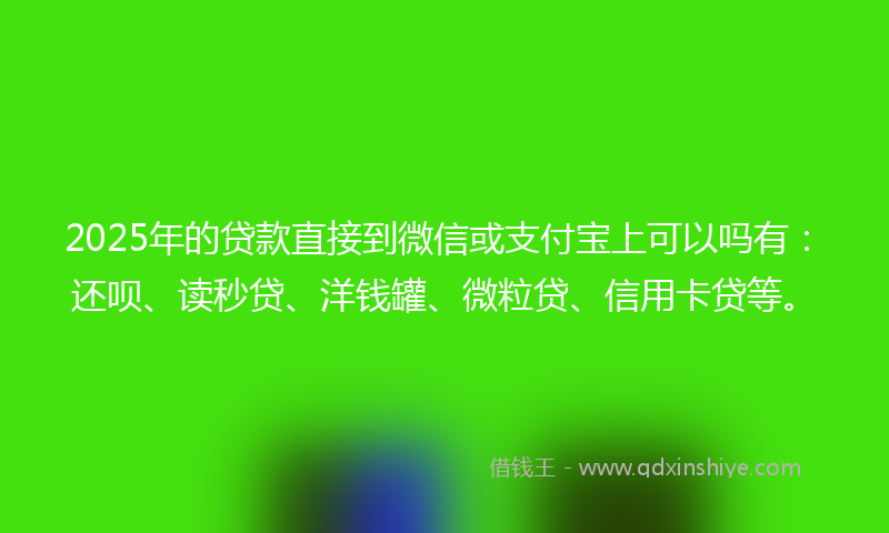 2025年的贷款直接到微信或支付宝上可以吗有：还呗、读秒贷、洋钱罐、微粒贷、信用卡贷等。