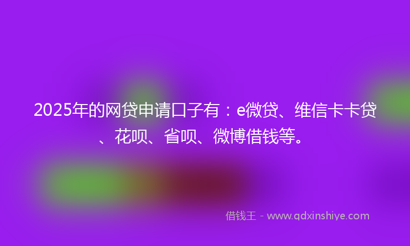2025年的网贷申请口子有：e微贷、维信卡卡贷、花呗、省呗、微博借钱等。