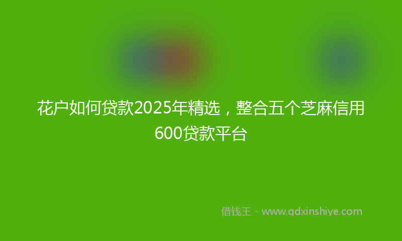 花户如何贷款2025年精选，整合五个芝麻信用600贷款平台