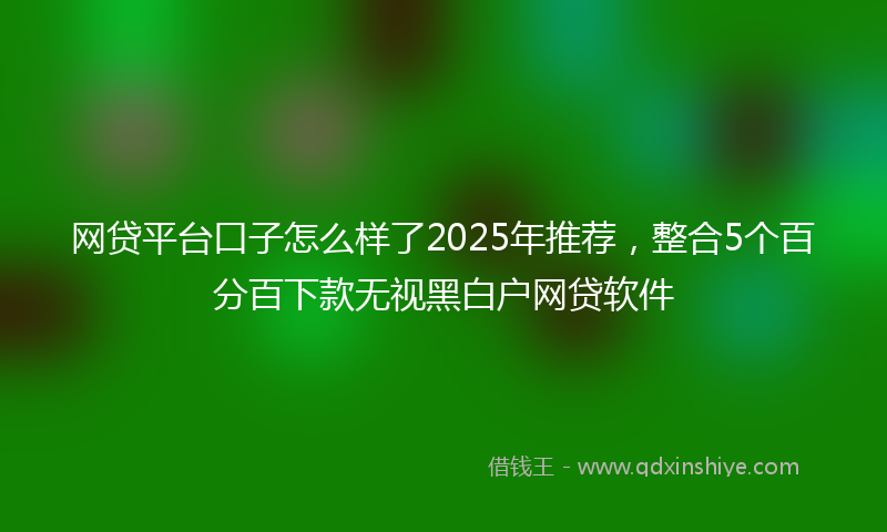 网贷平台口子怎么样了2025年推荐，整合5个百分百下款无视黑白户网贷软件