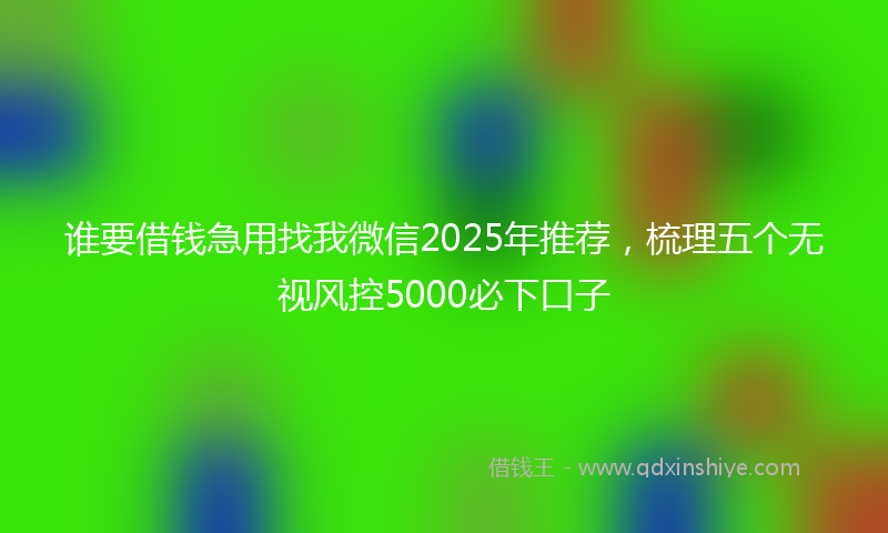谁要借钱急用找我微信2025年推荐，梳理五个无视风控5000必下口子