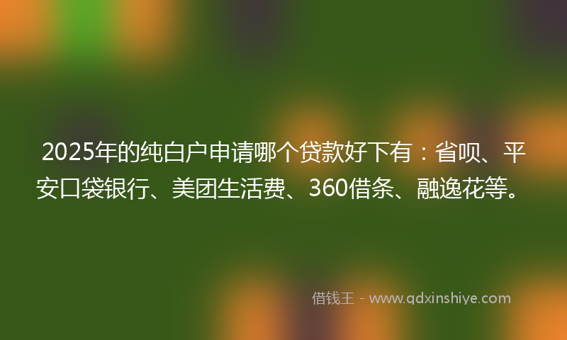 2025年的纯白户申请哪个贷款好下有：省呗、平安口袋银行、美团生活费、360借条、融逸花等。