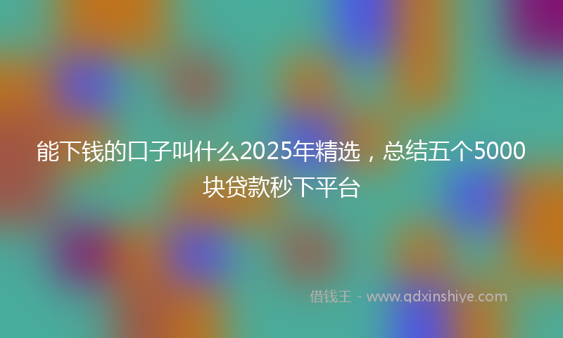 能下钱的口子叫什么2025年精选，总结五个5000块贷款秒下平台