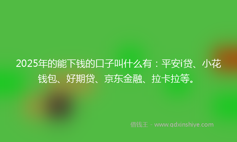 2025年的能下钱的口子叫什么有：平安i贷、小花钱包、好期贷、京东金融、拉卡拉等。