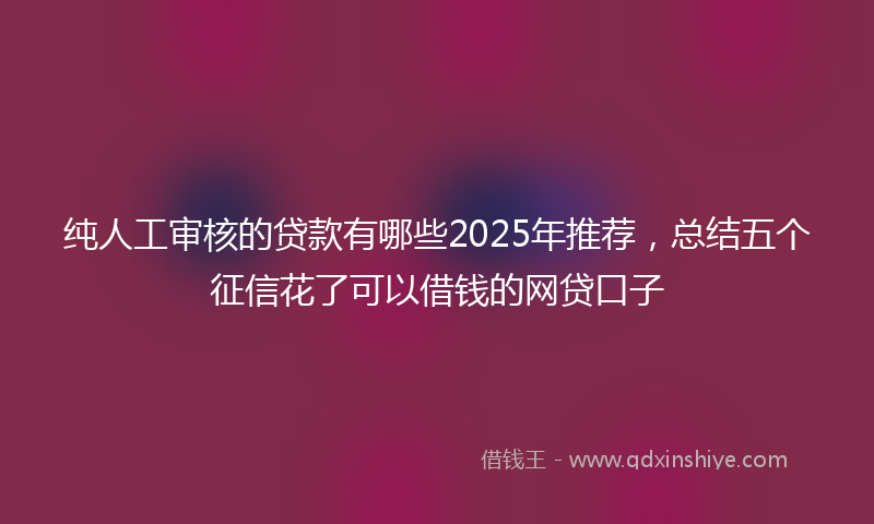 纯人工审核的贷款有哪些2025年推荐，总结五个征信花了可以借钱的网贷口子