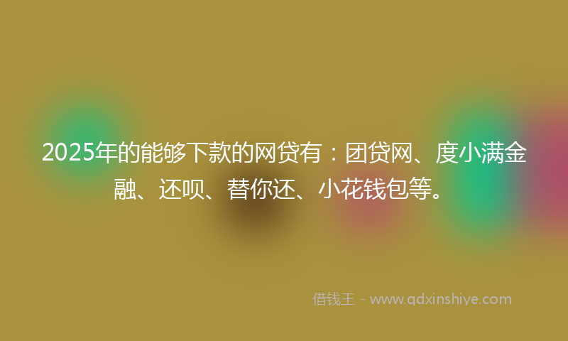 2025年的能够下款的网贷有：团贷网、度小满金融、还呗、替你还、小花钱包等。