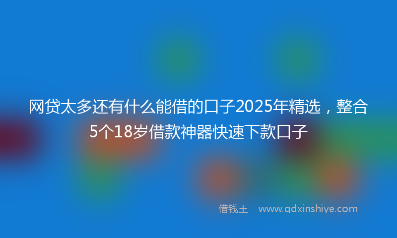 网贷太多还有什么能借的口子2025年精选，整合5个18岁借款神器快速下款口子