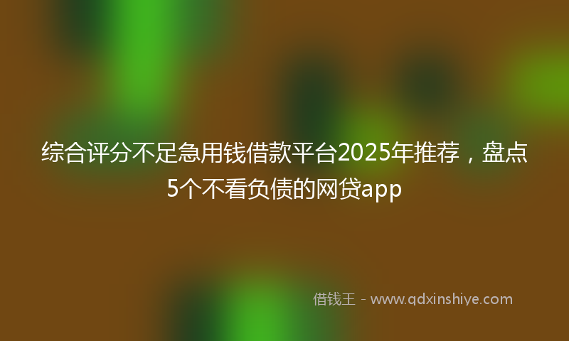 综合评分不足急用钱借款平台2025年推荐，盘点5个不看负债的网贷app