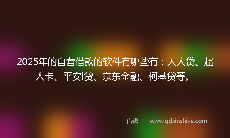 2025年的自营借款的软件有哪些有：人人贷、超人卡、平安i贷、京东金融、柯基贷等。