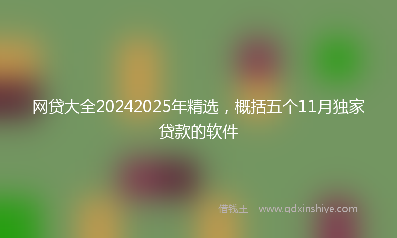 网贷大全20242025年精选，概括五个11月独家贷款的软件
