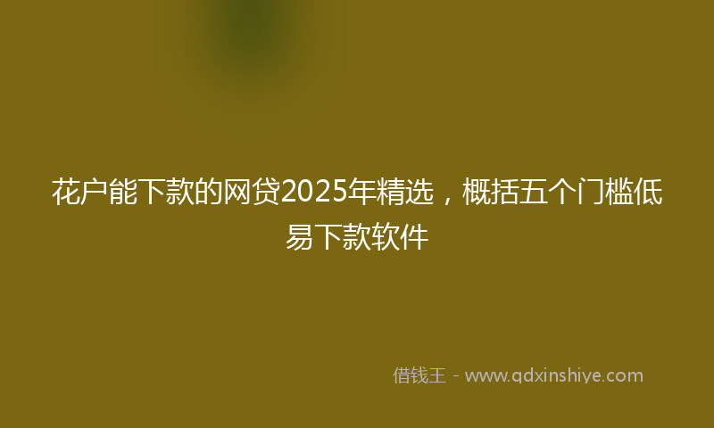 花户能下款的网贷2025年精选，概括五个门槛低易下款软件