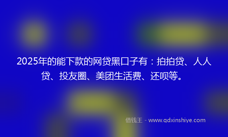 2025年的能下款的网贷黑口子有：拍拍贷、人人贷、投友圈、美团生活费、还呗等。